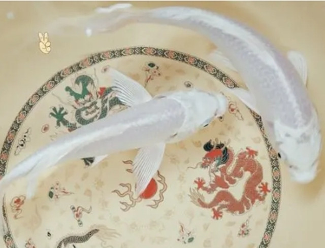 盘点中国传统文化中具有吉祥寓意之物，饱含了对生活的各种祝福