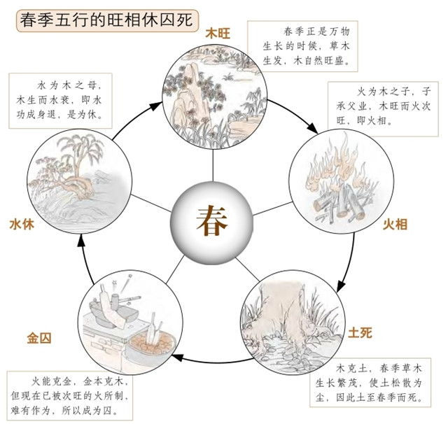 五行的旺相休囚死与五行和寄生十二宫对六爻预测有什么影响？