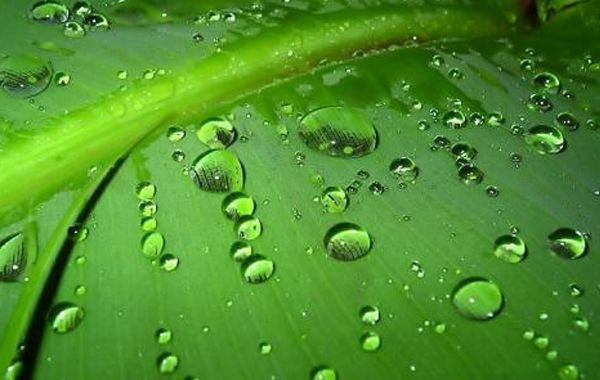 三月癸水：癸水生于辰月，辰月癸水日干八字喜忌分析