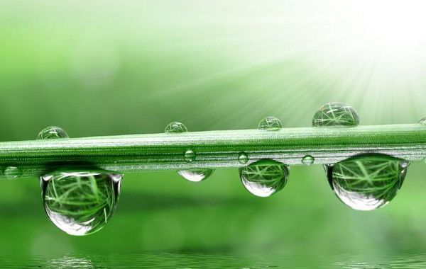 二月癸水：癸水生于卯月，卯月癸水日干八字喜忌分析