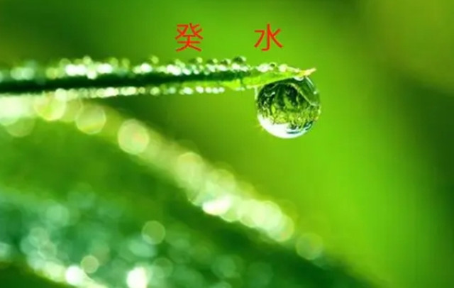 奇门遁甲通过时盘推算己未时运势逢癸日不宜用事