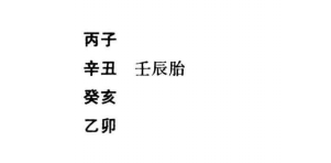 子午卯酉组咸池主聪明技巧，倜傥风流；天乙贵人，乃天上至尊之星，又名文星