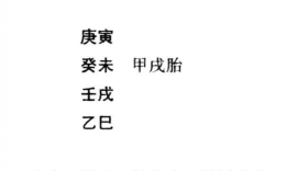 辛酉纳音木，癸酉纳音金，同宫战斗，刑于本身，就家降鬼，为鬼所制