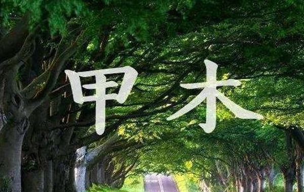 八字论木、旺相、休囚：木得木多、木得水多、木得金多、木得火多、木得土多八字分析