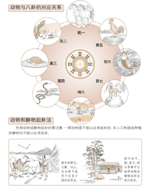 初试梅花易之四——动物与静物的占法，动物起卦法是一种比较综合的起卦法