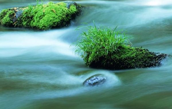 水生十一月：壬水癸水生于子月，子月壬水子月癸水日干八字喜忌分析