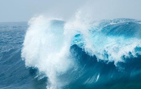 水生二月：壬水癸水生于卯月，卯月壬水癸水日干八字喜忌分析