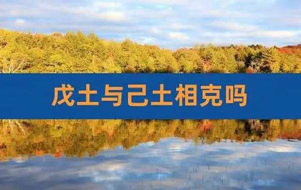 天干性情含义：八字日主戊土己土，戊土己土日干八字喜忌分析