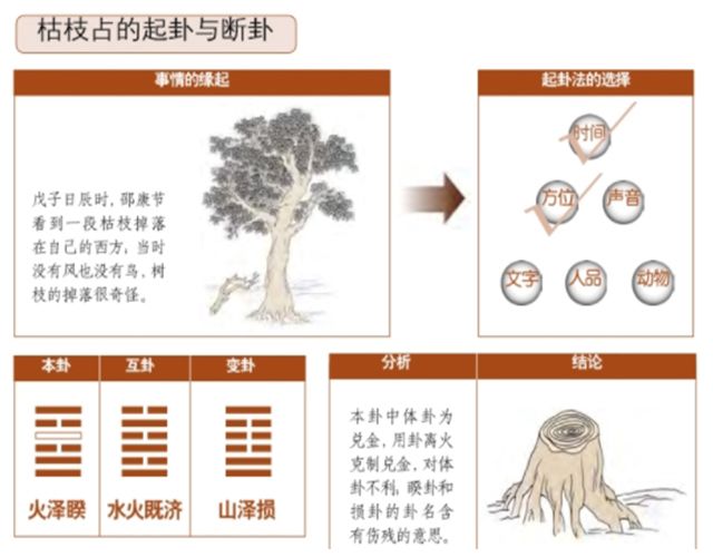 植物占例——枯枝坠地占，梅花易数无所不在的强大力量