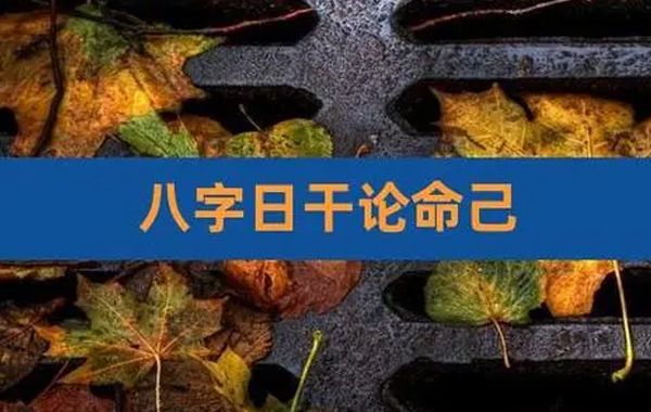 对日主来说，日支是它最亲近的人，为心腹，年干是统摄，力量最大，日支就是最亲密的