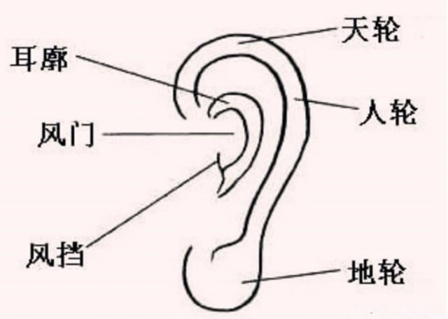 面相学：通过五官来看人的运势之二一看福在耳