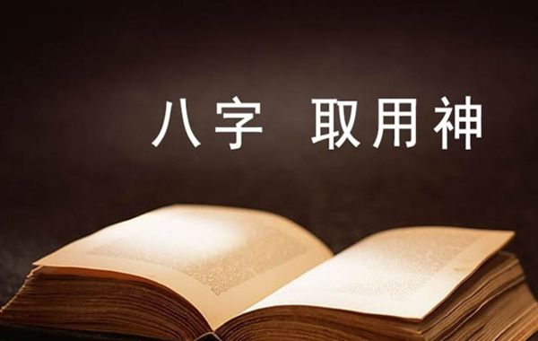 日主网络代表个人的情况，格局网络代表个人在社会上的财富、地位、社会层次等