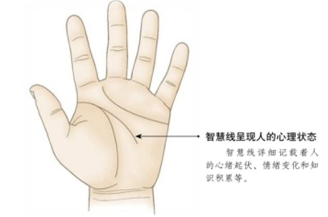 手相学：掌上的线纹对运势起伏是有影响的，不同纹路代表了不同的意义