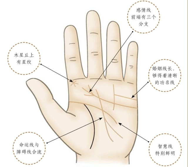 手相图解：收获了婚姻幸福的同时，能促进自己的事业运势的手相是怎么样的？
