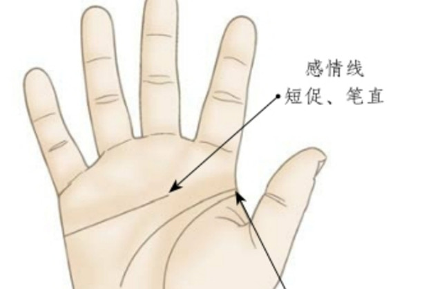 手相图解：一个开朗，喜欢引人注目的人的手相是怎么样的？感受性强，有个性的手相有什么样的特点？