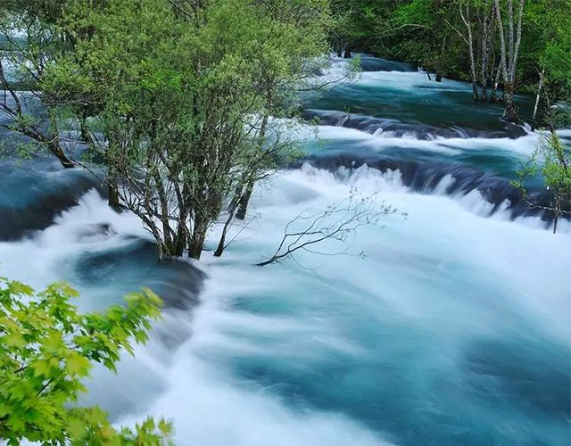 八字三春之水：壬水日主、癸水日主生于寅月、卯月、辰月命理吉凶喜忌分析