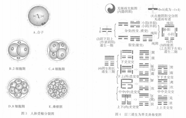 卦变概说：易经六十四卦的变化讲解