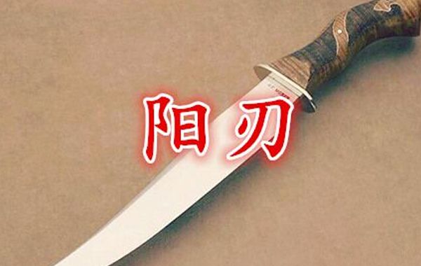 八字论德秀、论劫煞亡神、论羊刃：德是本月生旺之德;秀是合天地中正和平之气