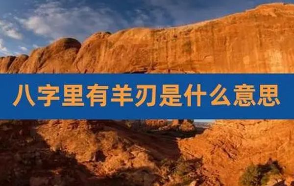 阳是指阴阳之阳，刃是指刀刃，阳刃一般是在禄位的前一位