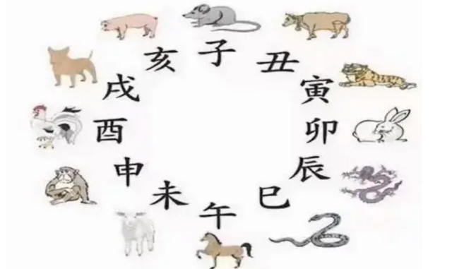 亥猪五行：什么是“五行土猪命”?