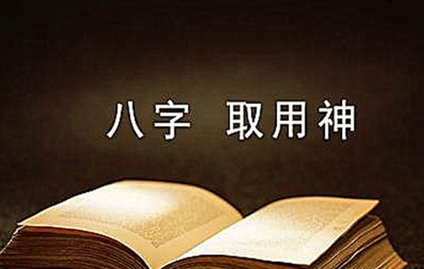 用即用神，象即日干之象，用象契合，即用神与日干作合，有情、有气