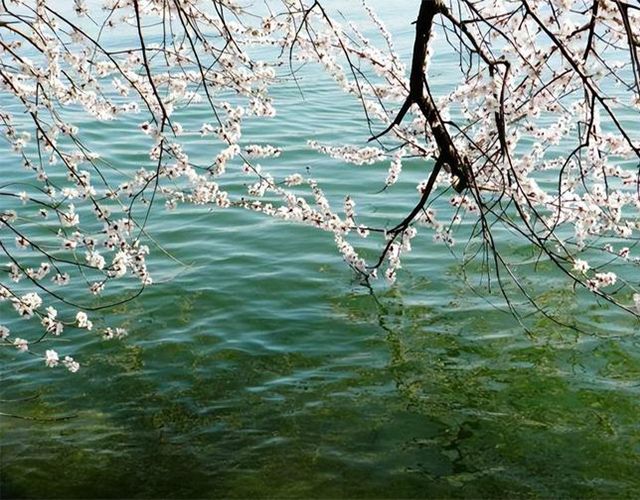 三夏癸水：日主癸水生于五月的八字命理分析，总结五月癸水取用总的原则