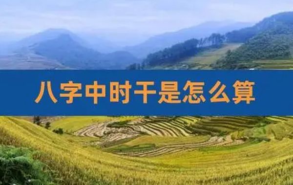 因财星有化食伤、生官禄的作用，所以岁时干或运岁以见财星为吉