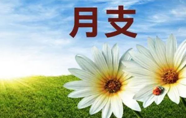辰在三月最为旺盛，此时水泥温润，是生育万物的最佳时节