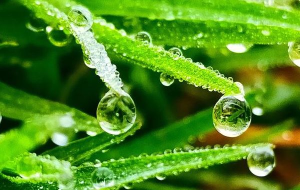 壬水癸水日干生于寅月卯月、巳月午月、申月酉月、亥月子月宜忌