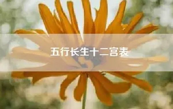 地支有十二个月，所以设定五行在十二宫中生旺墓绝，分为十二个位置