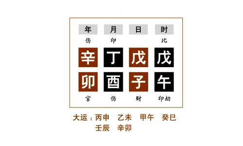 命例分析二：辛金是伤官，以正印丁火为用神，以官星木为喜神，并不是一般说到的土金伤官忌官星