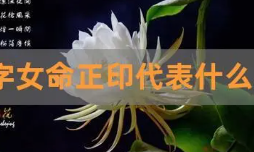 阐述女性命局的时候要将重点放在命局中的夫星和子星上，任铁樵同样重视