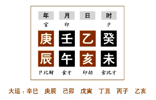 女命论夫论子命例分析（八）：乙木生于午月，火正当时令；乙木生于春初寅木，木嫩金坚
