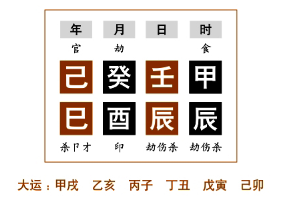 女命论夫论子命例分析（七）：丁火生于辰月，火生土；壬水生于酉月，金正当时令