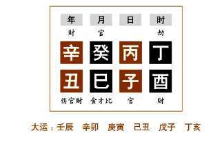 小儿之命实例分析（一）：丙火生于巳月，四柱五行无木生助丙火