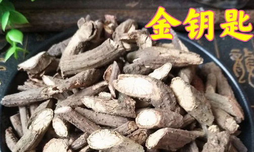 绿色植物可帮助刑侦破案(之三)：药草本无毒，何以致人亡?金锁致命案