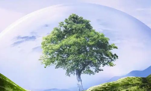 中华民族栖息生养于北半球东亚大陆，这片大陆与其他古人类文明的发源地有着显著差别